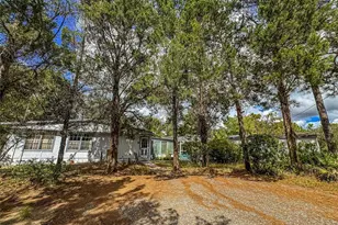 12060 Ehrenwald Dr, Weeki Wachee, FL 34613 - Photo 51