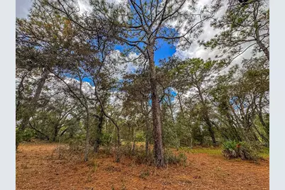 12060 Ehrenwald Drive, Weeki Wachee, FL 34613 - Photo 65