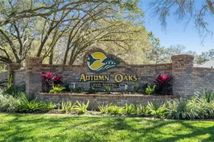 18706 Golden Hawk Ct, Hudson, FL 34667 - Photo 71