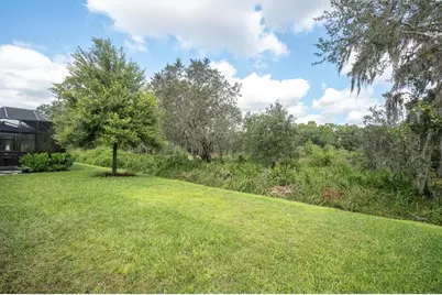 13709 Stansil Avenue, Odessa, FL 33556 - Photo 47