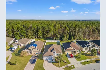 30745 Satinleaf Run, Brooksville, FL 34602 - Photo 3