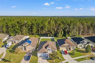 30745 Satinleaf Run, Brooksville, FL 34602 - Photo 3