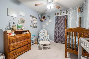 15068 Caravan Ave, Odessa, FL 33556 - Photo 19