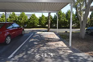 1316 Pasadena Ave S, South Pasadena, FL 33707 - Photo 9