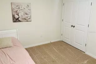 8654 Bower Bass Cir, Wesley Chapel, FL 33545 - Photo 11