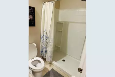 8654 Bower Bass Circle, Wesley Chapel, FL 33545 - Photo 29