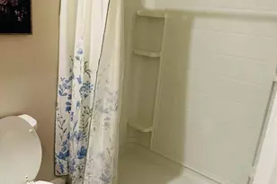 8654 Bower Bass Cir, Wesley Chapel, FL 33545 - Photo 29