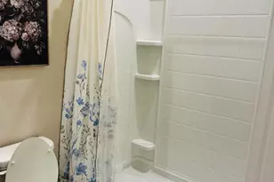 8654 Bower Bass Cir, Wesley Chapel, FL 33545 - Photo 21