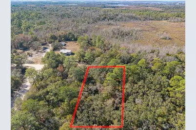 419 N Vesper Point, Crystal River, FL 34429 - Photo 3
