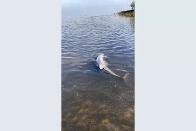 6603 Driftwood Drive, Hudson, FL 34667 - Photo 75