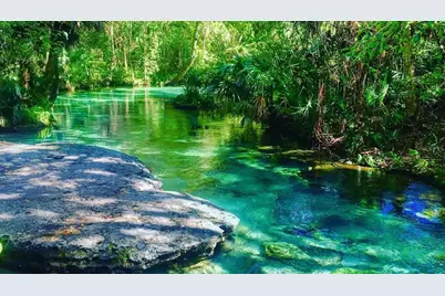 425 Orchard Drive, Apopka, FL 32703 - Photo 7