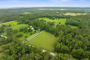 1325 Culbreath Rd, Brooksville, FL 34602 - Photo 15