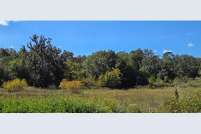 Fitzhugh Avenue, Brooksville, FL 34601 - Photo 7