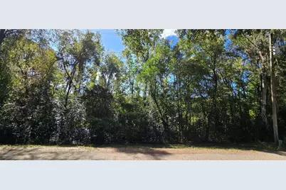 Fitzhugh Avenue, Brooksville, FL 34601 - Photo 5