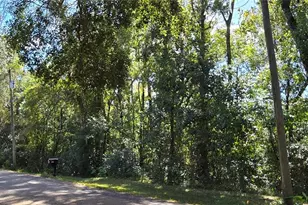 Fitzhugh Ave, Brooksville, FL 34601 - Photo 1