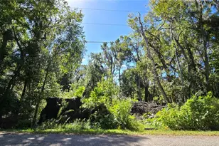 Foreside Ave, Brooksville, FL 34601 - Photo 1