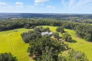 23337 Lake Lindsey Rd, Brooksville, FL 34601 - Photo 55