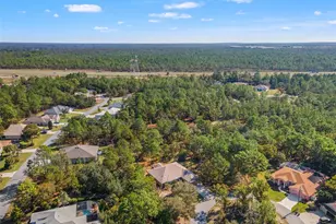 5 Boxleaf, Homosassa, FL 34446 - Photo 53