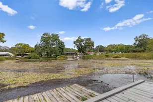 6421 Finance Ave, Weeki Wachee, FL 34607 - Photo 41