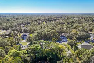 207 Linder Dr, Homosassa, FL 34446 - Photo 75