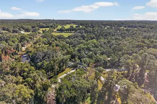 11031 Nottingham Forest Dr, Brooksville, FL 34601 - Photo 89