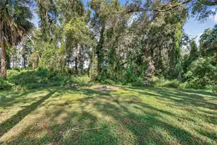 11031 Nottingham Forest Dr, Brooksville, FL 34601 - Photo 67