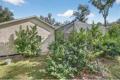 11031 Nottingham Forest Drive, Brooksville, FL 34601 - Photo 69