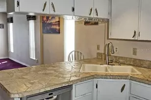 20890 Negril Ct, Lutz, FL 33558 - Photo 13