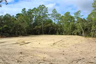 6054 N Rosewood Dr, Beverly Hills, FL 34465 - Photo 3