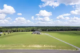 11367 S Brightstar Ave, Floral City, FL 34436 - Photo 63