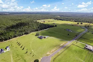 11367 S Brightstar Ave, Floral City, FL 34436 - Photo 75