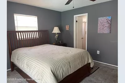 6233 Hancock Avenue, Spring Hill, FL 34608 - Photo 9