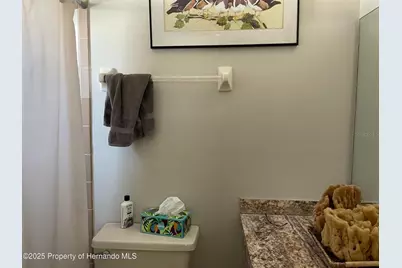 6233 Hancock Avenue, Spring Hill, FL 34608 - Photo 11