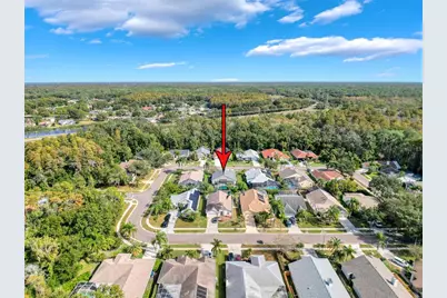 890 Crestridge Circle, Tarpon Springs, FL 34688 - Photo 49