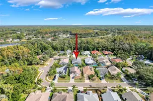 890 Crestridge Cir, Tarpon Springs, FL 34688 - Photo 49