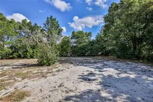 9249 Northcliffe Blvd, Spring Hill, FL 34606 - Photo 45