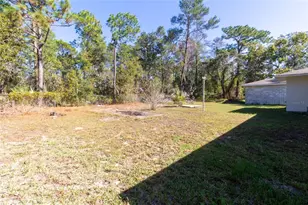 6447 Brandy Dr, Spring Hill, FL 34607 - Photo 7