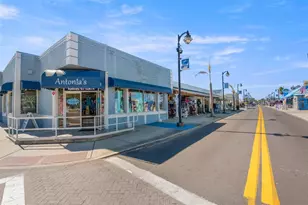 719 Riverside Dr, Tarpon Springs, FL 34689 - Photo 53