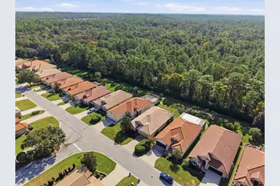 1650 W Laurel Glen Path, Hernando, FL 34442 - Photo 47