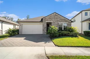21565 Violet Periwinkle Dr, Land O Lakes, FL 34637 - Photo 3