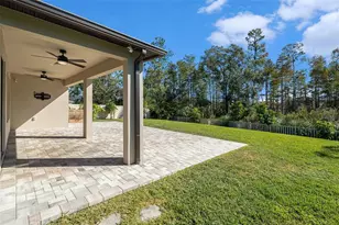 21565 Violet Periwinkle Dr, Land O Lakes, FL 34637 - Photo 25