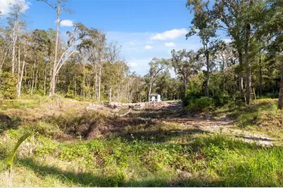 Neff Lake Road, Brooksville, FL 34601 - Photo 13