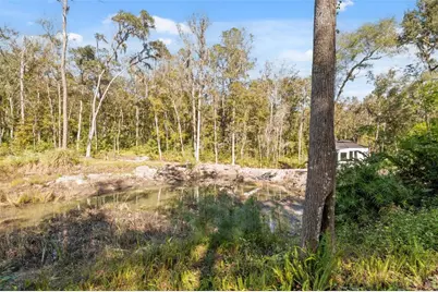 Neff Lake Road, Brooksville, FL 34601 - Photo 19