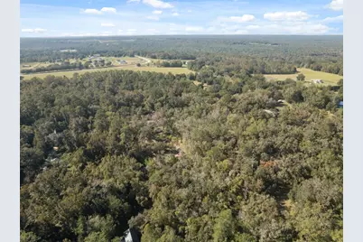 Neff Lake Road, Brooksville, FL 34601 - Photo 29