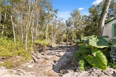 Neff Lake Road, Brooksville, FL 34601 - Photo 7