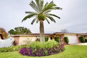 8912 Andros Ln, Port Richey, FL 34668 - Photo 3