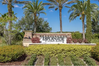 11599 Callisia Drive, Odessa, FL 33556 - Photo 3