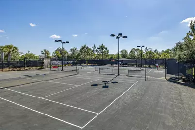 11599 Callisia Drive, Odessa, FL 33556 - Photo 99