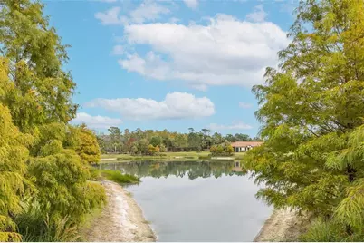 11599 Callisia Drive, Odessa, FL 33556 - Photo 65
