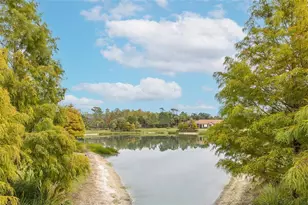 11599 Callisia Dr, Odessa, FL 33556 - Photo 65